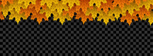 Autumn Gold Maple Leaves On Transparent Background.