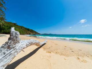 Sticker - Tropical sandy beach landscape