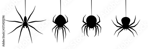 Fotomural halloween spider's web vector
