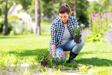 gardening and people concept - woman planting rose flowers at summer garden