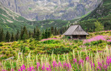 Fototapeta Paryż - Alpine style beautiful landscape in the summer. Wooden house on a meadow with flowers. High Tatra Mounitains in the background.
