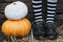 Halloween Holidays Concept. Pumpkins. Halloween Background. Autumn Mood. Witch Legs.