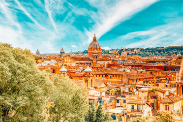 Fototapete - View of the city of Rome from above, from the hill of Terrazza del Pincio. Italy.