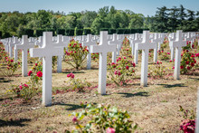 Verdun Cemetery With The Soldiers Killed In Action