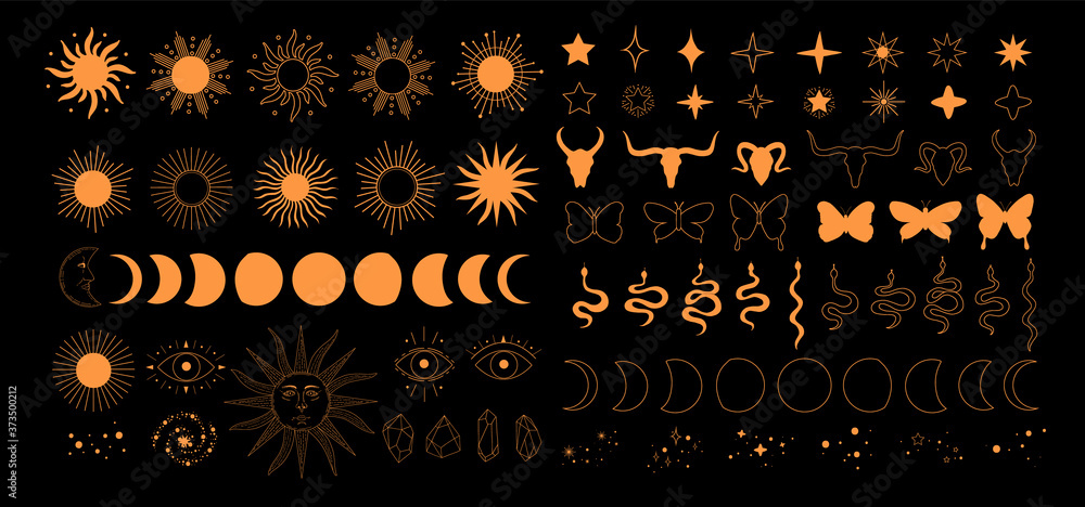 Set of alchemy esoteric mystical magic celestial icons, sun, moon phases, stars, sacred geometry isolated. Spiritual animals butterfly, snake, skull of bull occultism. Vector illustrations outline - obrazy, fototapety, plakaty 