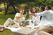 © Jacob Lund - Friends celebrating with drinks at picnic
