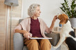 © Seventyfour - Warm toned portrait of senior woman playing with dog while enjoying time at home in cozy interior, copy space