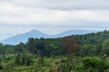 Wall Mural - View of valleys and hills in the distance from the Anniston Eastern Bypass in Alabama, USA on a cloudy day