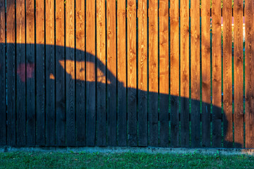 A wooden fence made of brown planks is illuminated by the evening sun. There is a shadow from the car on the fence and a strip of green grass at the bottom. Background.