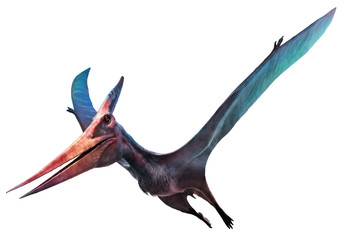 Pteranodon flying dinosaur 3D illustration