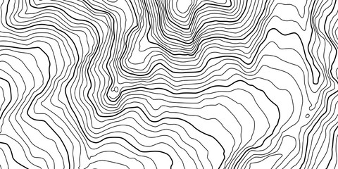 Wall Mural - the stylized height of the topographic contour in lines and contours. the concept of a conditional g