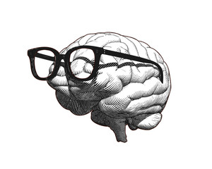 Brain with glasses drawing illustration isolated on white BG
