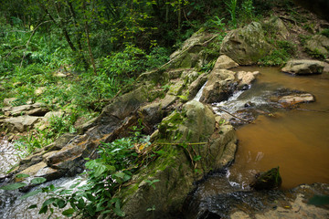 Water in the forest