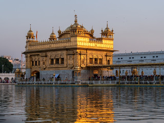 Wall Mural - late afternoon sun shining on the beautiful golden temple in amritsar