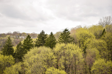 Spring Landscape at Kensico Dam 2