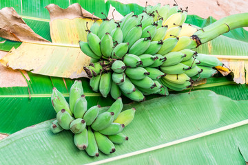 Wall Mural - Banana bunch ripe