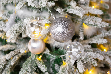 Christmas toy ball hanging on a branch of spruce. New year tree decorated with a garland.