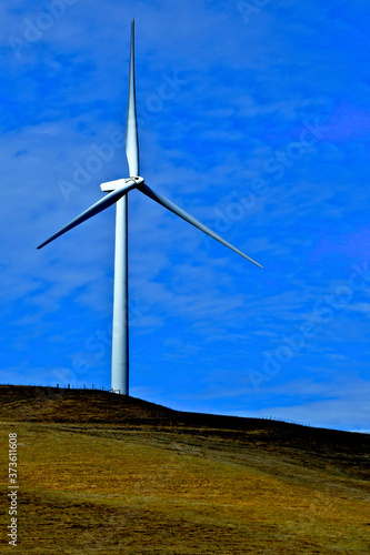 Giant Wind turbine on pastureland a multiple use concept