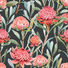 Beautiful Seamless Floral Pattern With Watercolor Summer Protea Flowers. Stock Illustration.