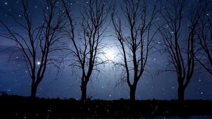 Wall Mural - video of dark forest aerial flyby. camera moves towards moonlight as dark trees seen at a distance w