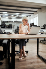 Wall Mural - Young focused tattooed female designer using laptop while working at her desk in the modern office. Focus on a girl