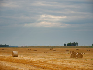 Haystack agriculture field landscape. Agriculture field hay stacks.Mown meadow with blue sky and clouds. Agricultural landscape