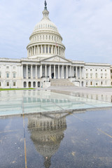 Wall Mural - United States Capitol Building - Washington D.C. United States of America