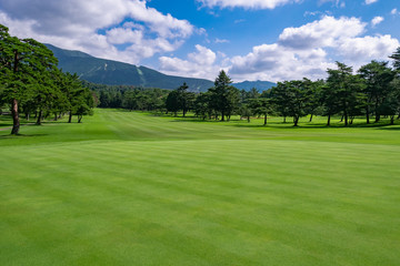 Wall Mural - Golf Course with beautiful green field. Golf course with a rich green turf beautiful scenery.