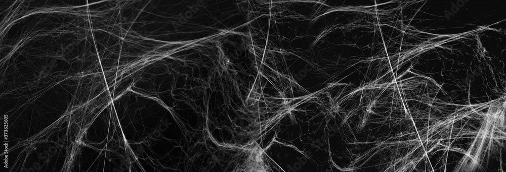 Obraz na płótnie halloween, decoration and horror concept - artificial spider web over black background w salonie