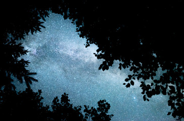 Wall Mural - starry sky. milky way galaxy. this long exposure astronomical photograph taken in the middle of the 