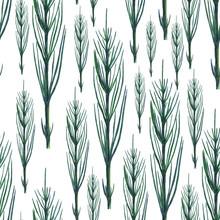 Green Horsetail Plant Seamless Pattern. Herbal Equisetum Arvense On White Background. Watercolor Hand Drawing Illustration. Perfect For Wallpaper, Digital Paper, Medical Design.