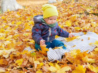 little child playing in the autumn park in yellow foliage