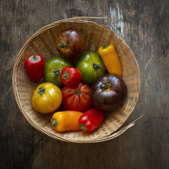 Canvas Print - High angle shot of fresh multicolored peppers and tomatoes in a basket