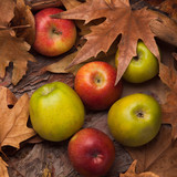 Fototapeta Kuchnia - Colorful ripe apples into yellow leaves, healthy organic food for diet