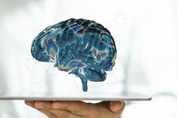 human brain ideas and learning science