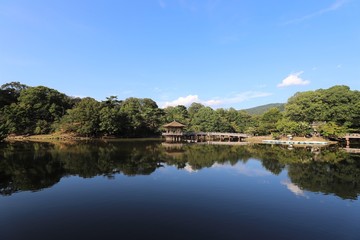 Poster - 夏の奈良公園