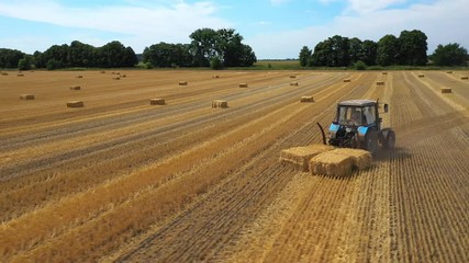 Wall Mural - Agriculture, tractor pulls the mown bales of hay into one place