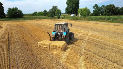 Wall Mural - Agriculture, tractor pulls the mown bales of hay into one place