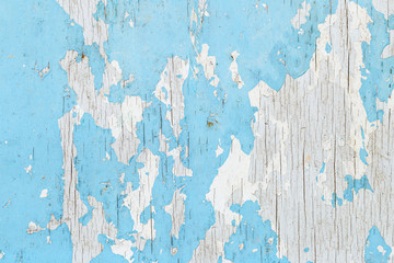 Wall Mural - Blue wood texture for background