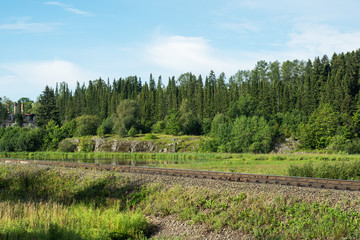 Summer Sunny forest landscape, green pine trees and the railway track.