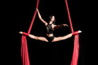 Cirque Artist in Aerial Silks
