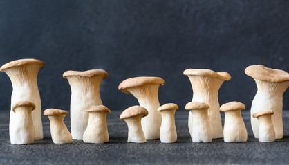 Canvas Print - Raw king oyster mushrooms