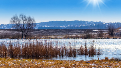 Wall Mural - Winter landscape with river and field in sunny weather