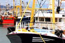 Busy British Fishing Harbor Showing Large Commercial Fishing Boat Industry 