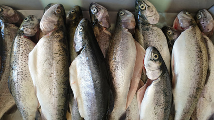 Sticker - Closeup shot of Fresh cleaned trout lay on the table