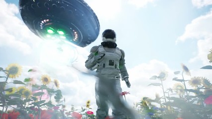 Wall Mural - an alien flying saucer chases an astronaut running through a flower field. the concept of a ufo or a
