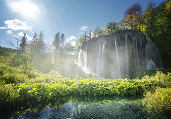 Canvas Print - waterfall in forest, plitvice lakes, croatia