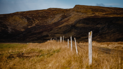 Poster - Selective focus shot of a road passing through the hills