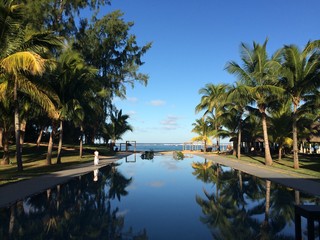 Wall Mural - mauritius island. exotic paradise island in indian ocean. view on blue infinity pool and lush green 