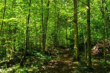  Walking at Escarpement park